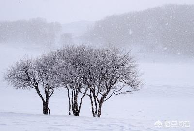 《诗经》中的“昔我往矣，杨柳依依，今我来思，雨雪霏霏”有什么深意？-第2张图片-太平洋在线下载