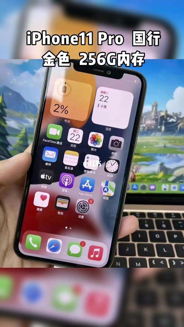 苹果11琼版iphone118是什么型号