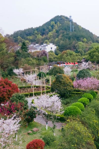 樱花直播苹果手机版苹果免费下载app安装