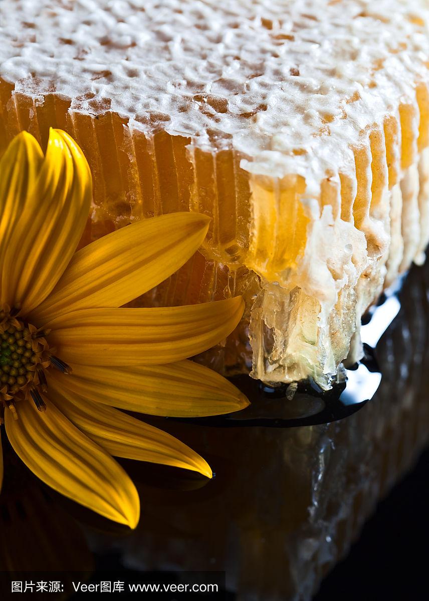 蜂窝工具手机版(蜂窝助手是干嘛的)-第3张图片-QuickQ官网