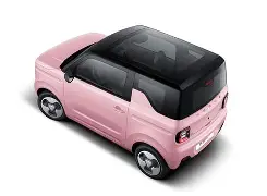 苹果版熊猫(熊猫app苹果版本)-第4张图片-QuickQ官网 苹果版熊猫(熊猫app苹果版本)-第4张图片-QuickQ官网