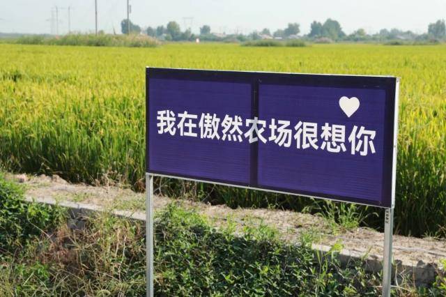包含想你歌词满仓演唱手机版的词条-第4张图片-QuickQ官网