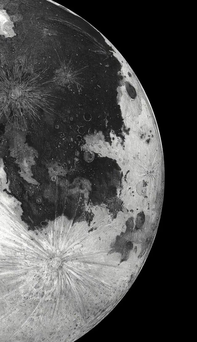 黑与白手机版(黑与白游戏攻略)