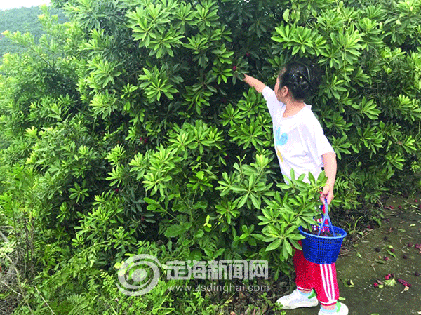 定海新闻网手机版(定海新闻网手机版官网)-第5张图片-QuickQ官网